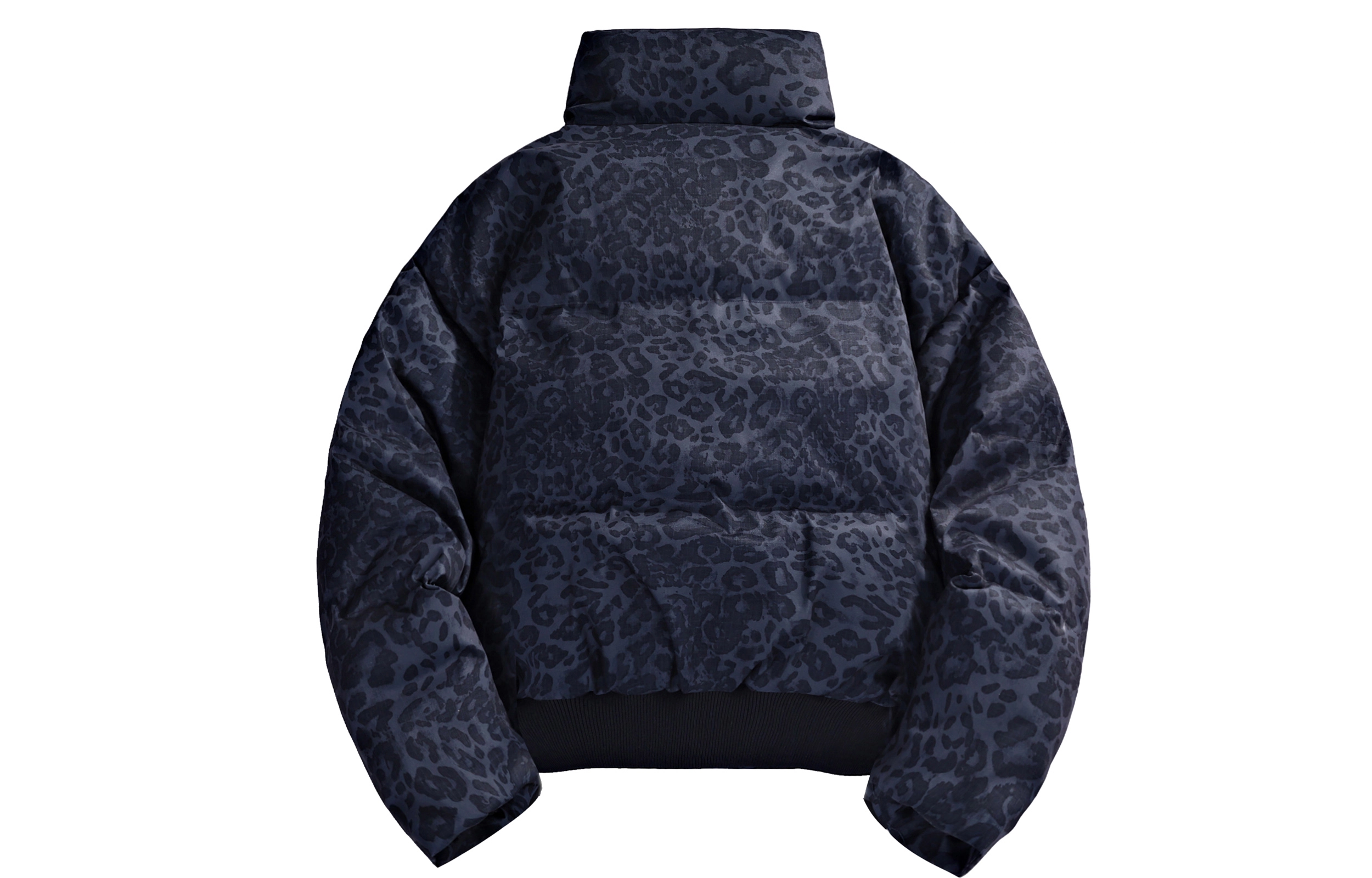 paddy julia logocleanfit