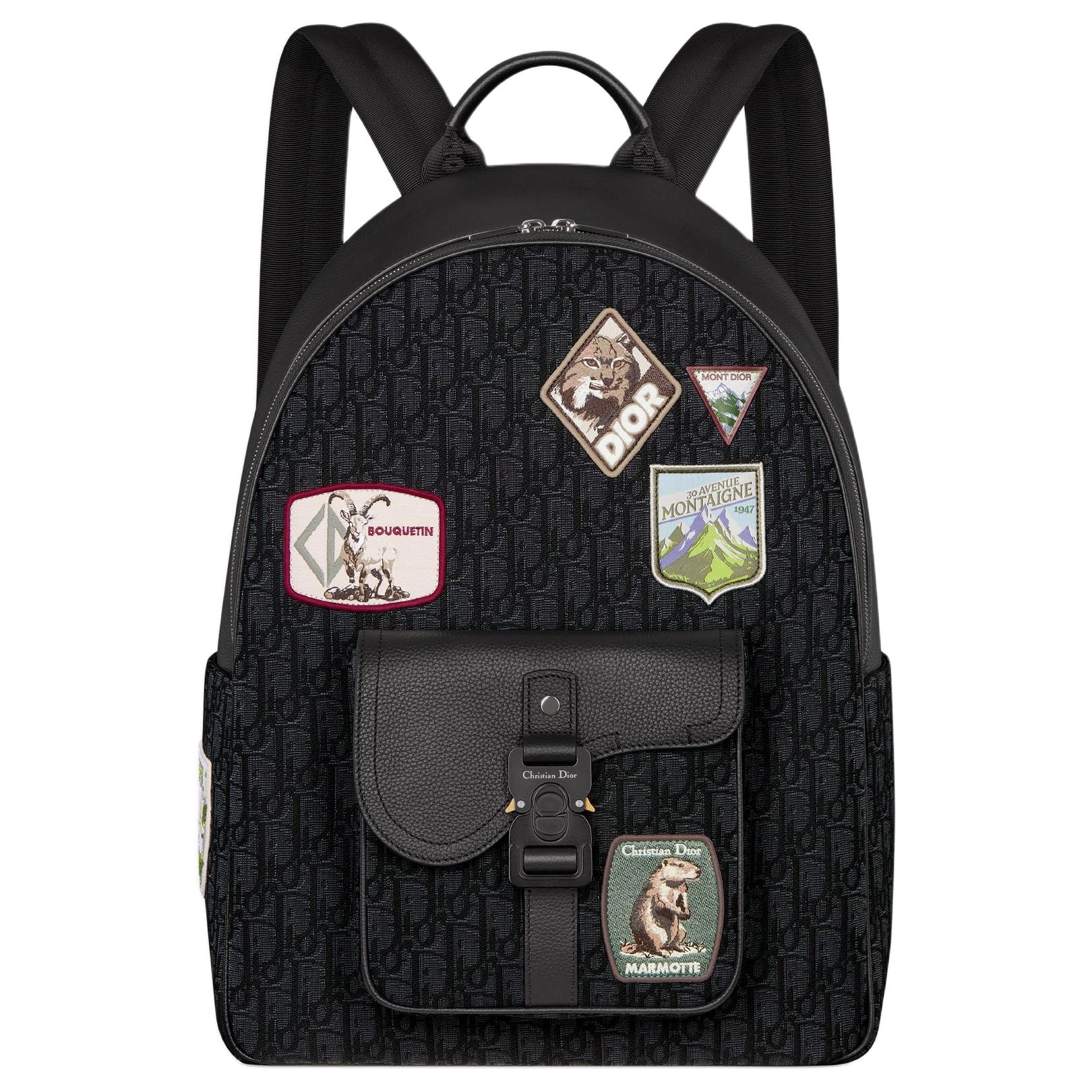 DIOR SaddleOBLIQUE