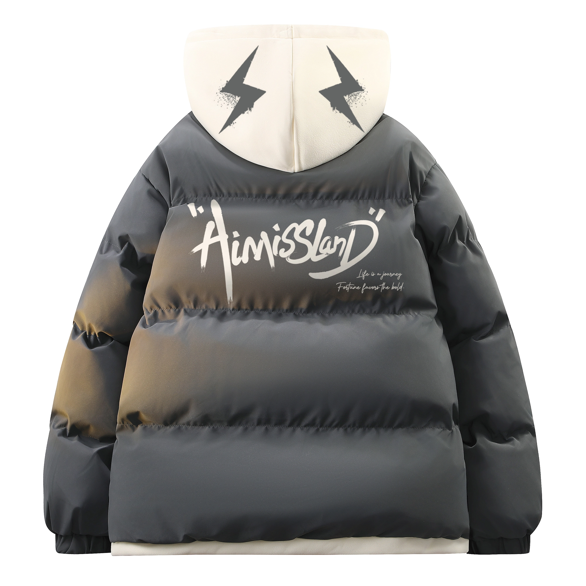AIMISS Logo