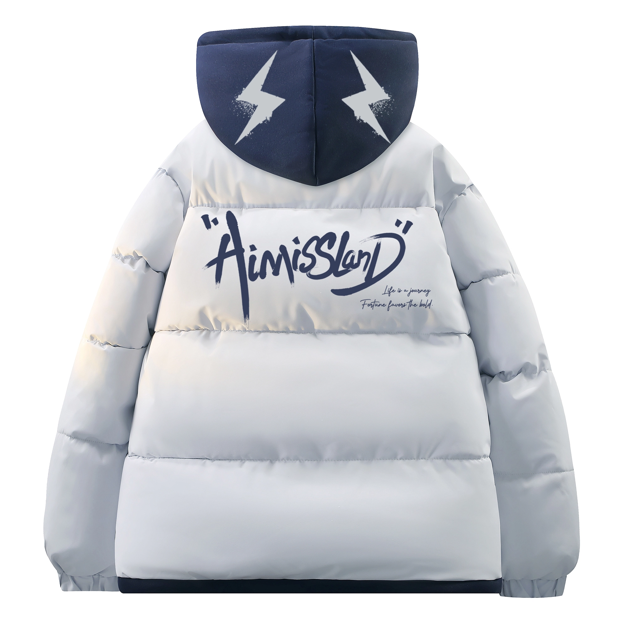 AIMISS Logo