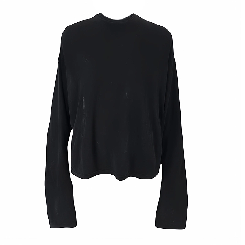 WHISTLEHUNTER T