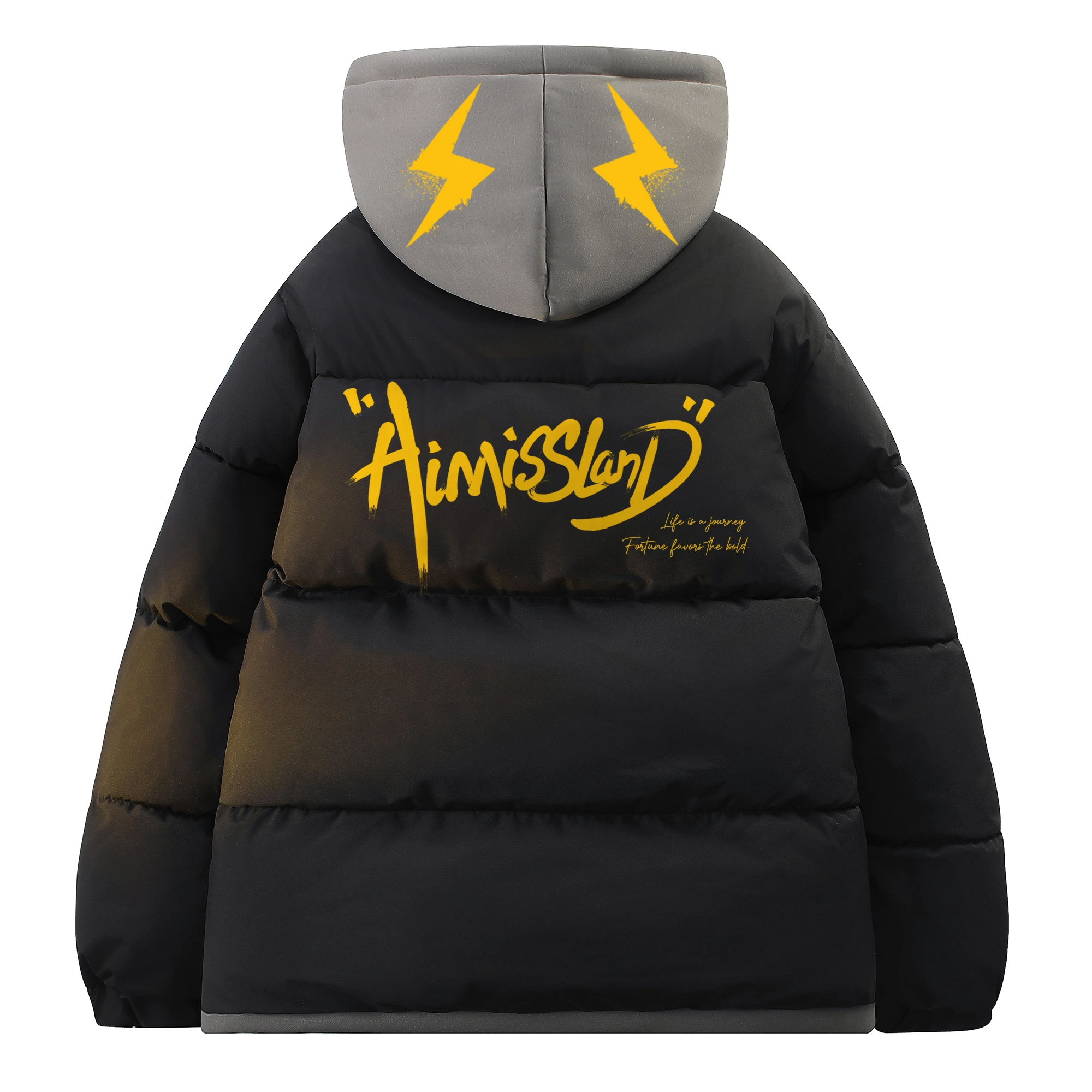 AIMISS Logo