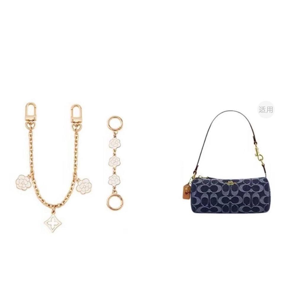 COACH Nolita-20