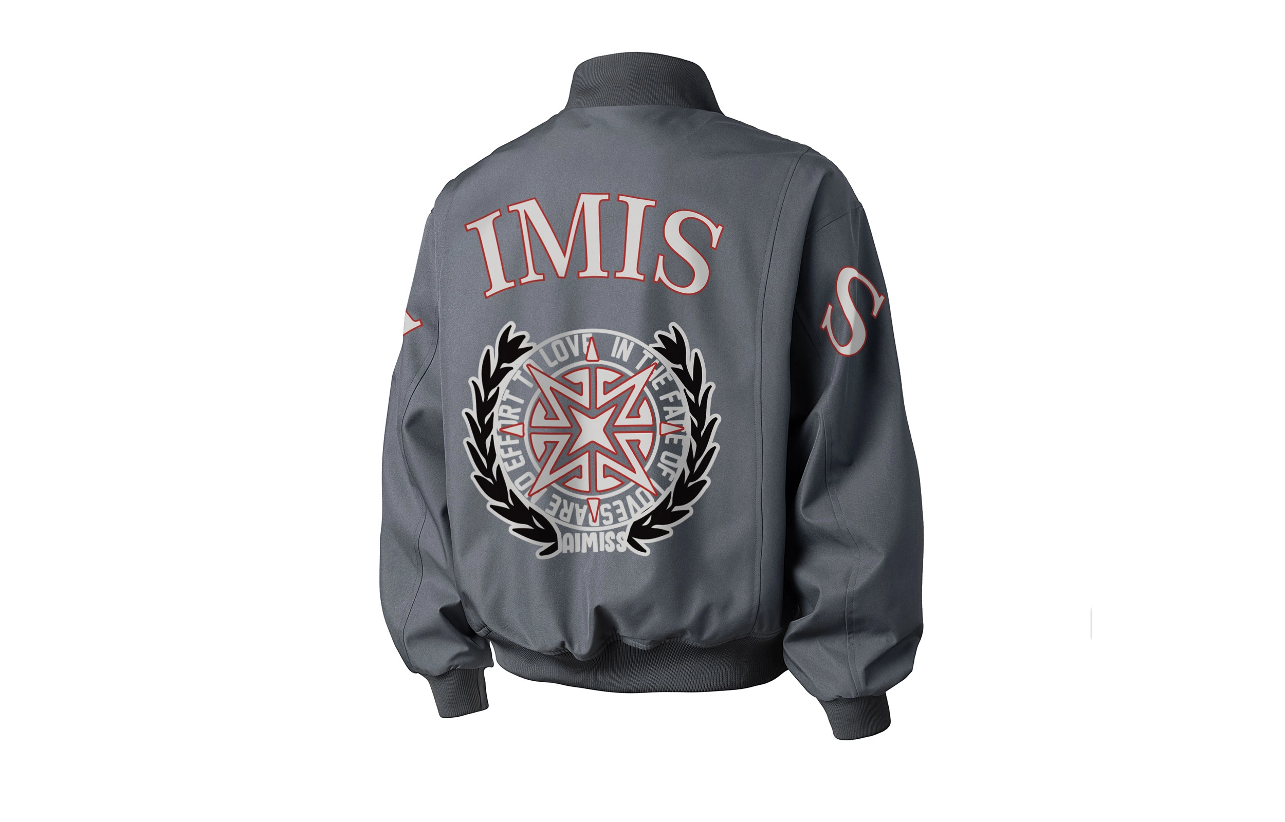 AIMISS LOGOins