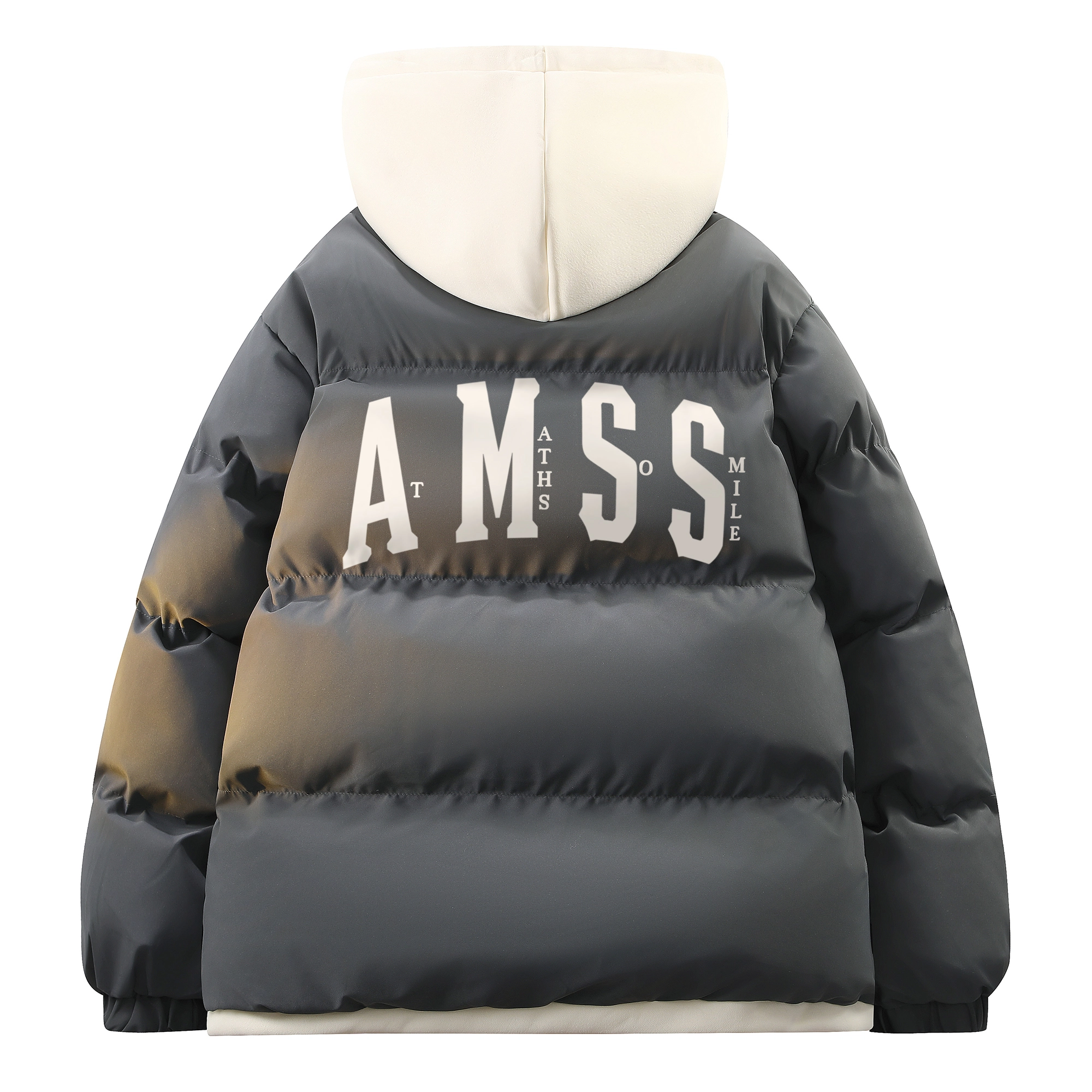 AIMISS Logo
