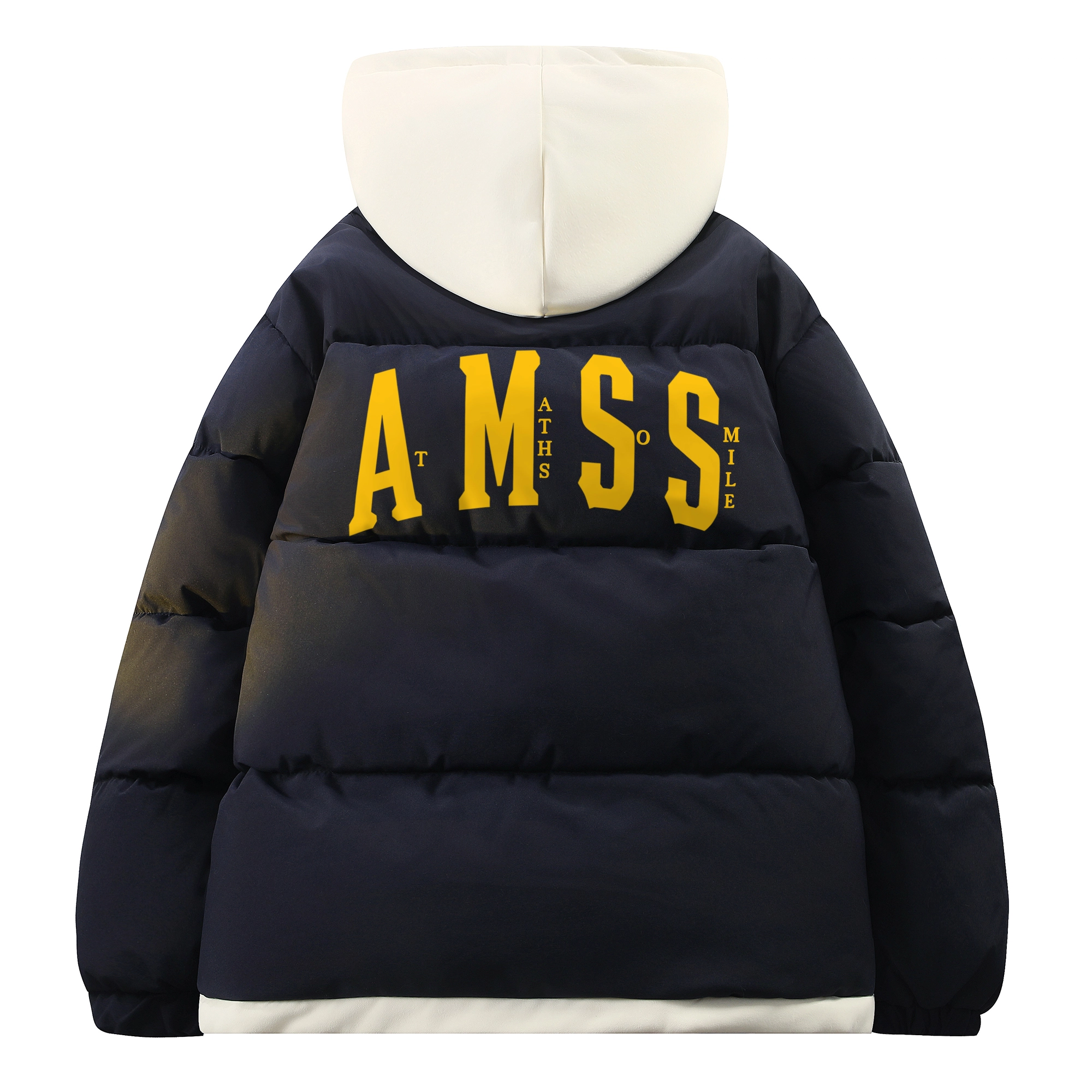 AIMISS Logo