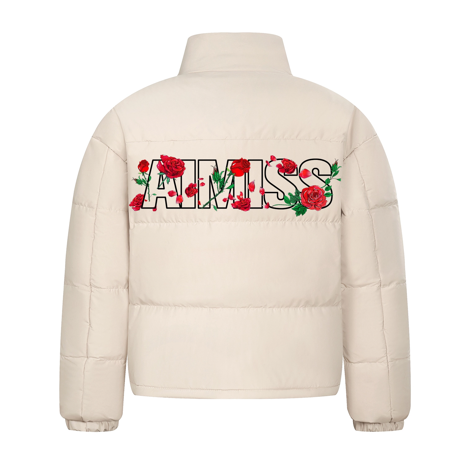 AIMISS Logo