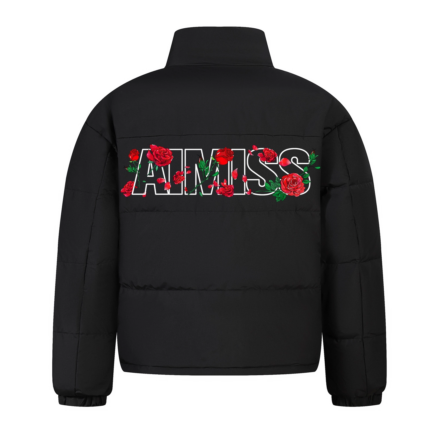 AIMISS Logo