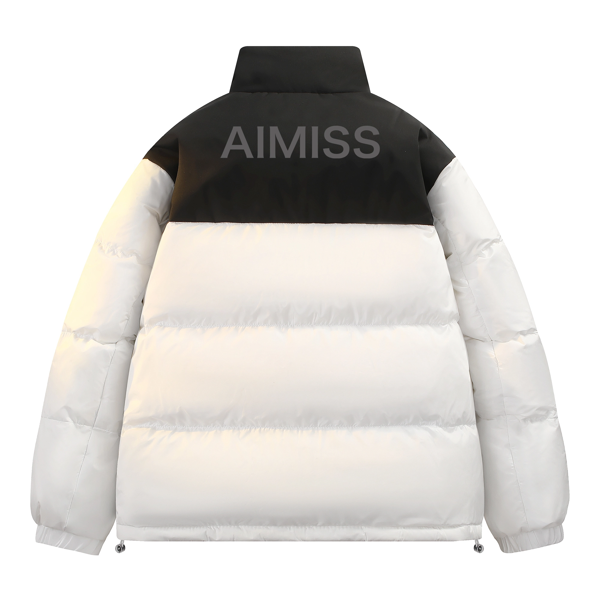 AIMISS Logo