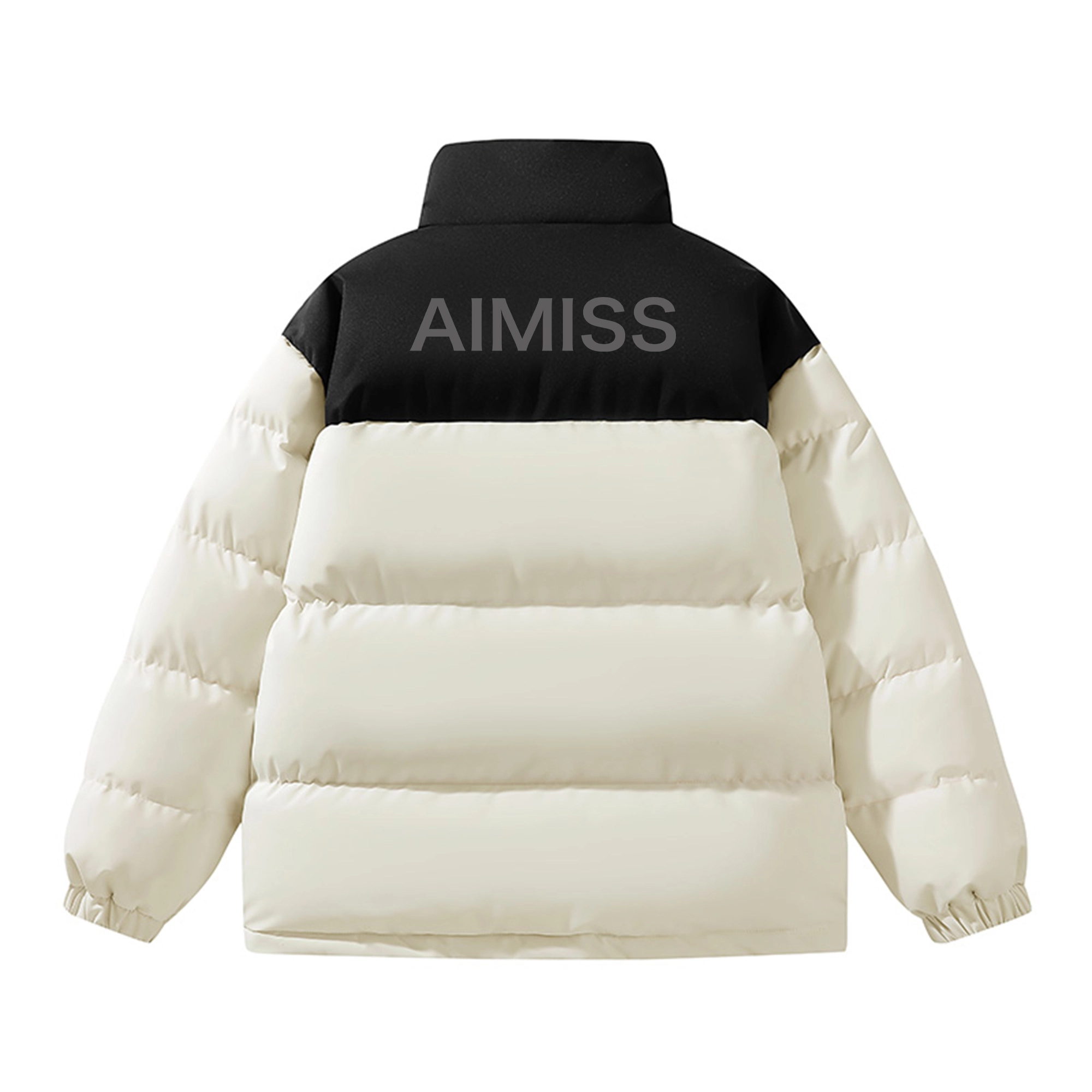 AIMISS Logo