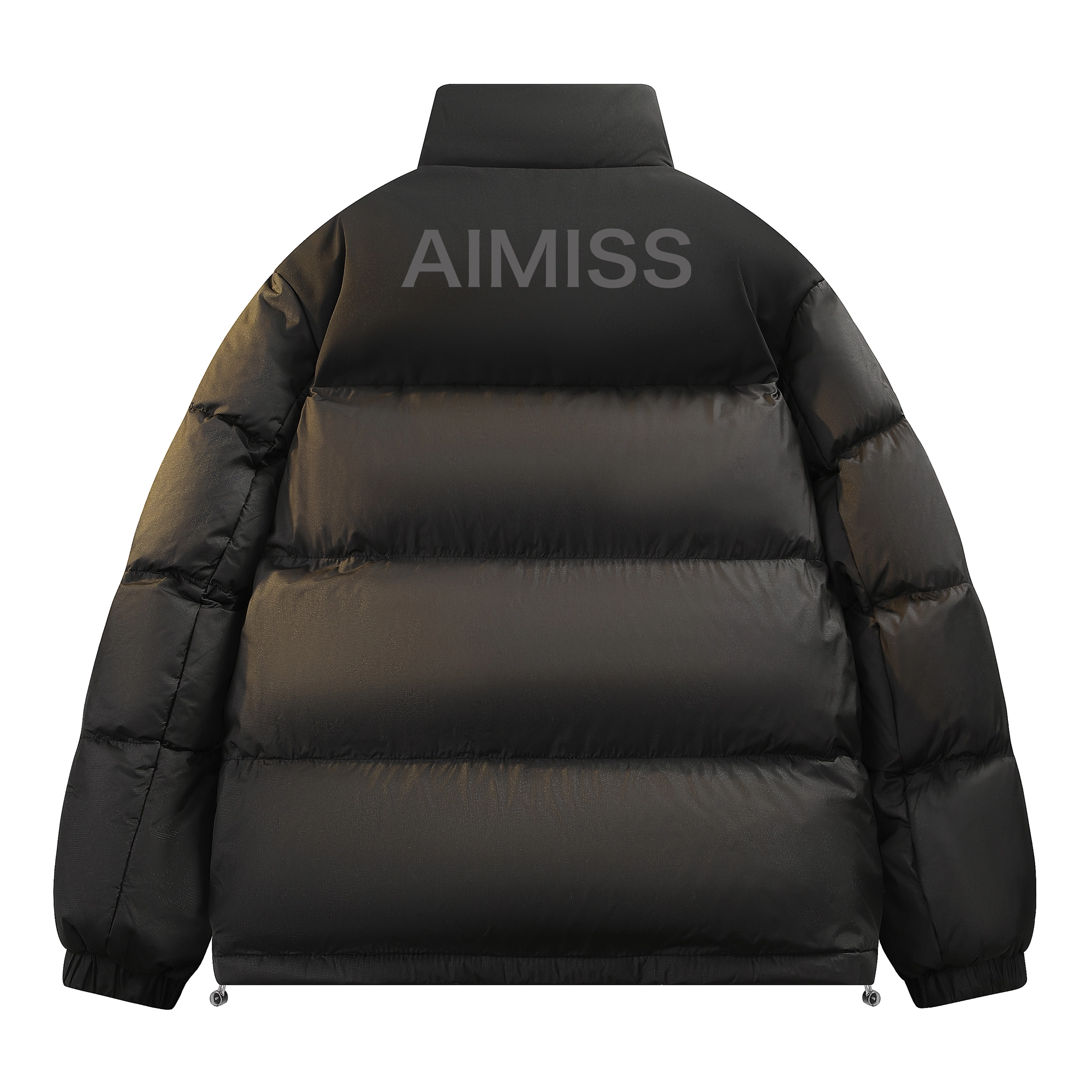 AIMISS Logo