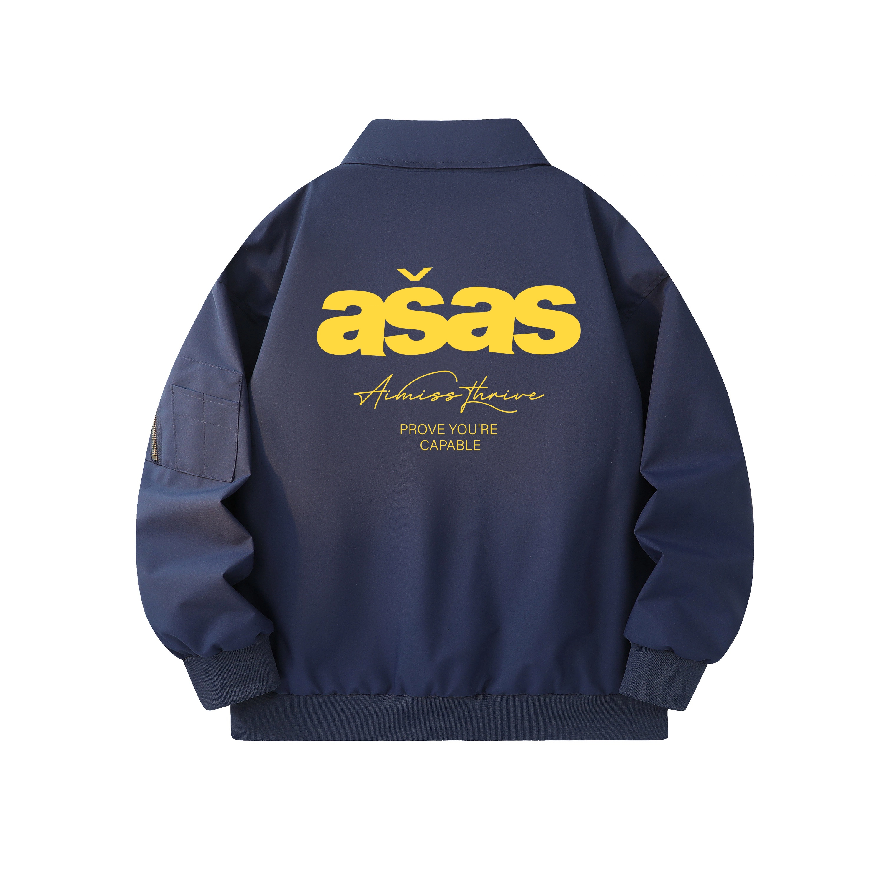 AIMISS Logo