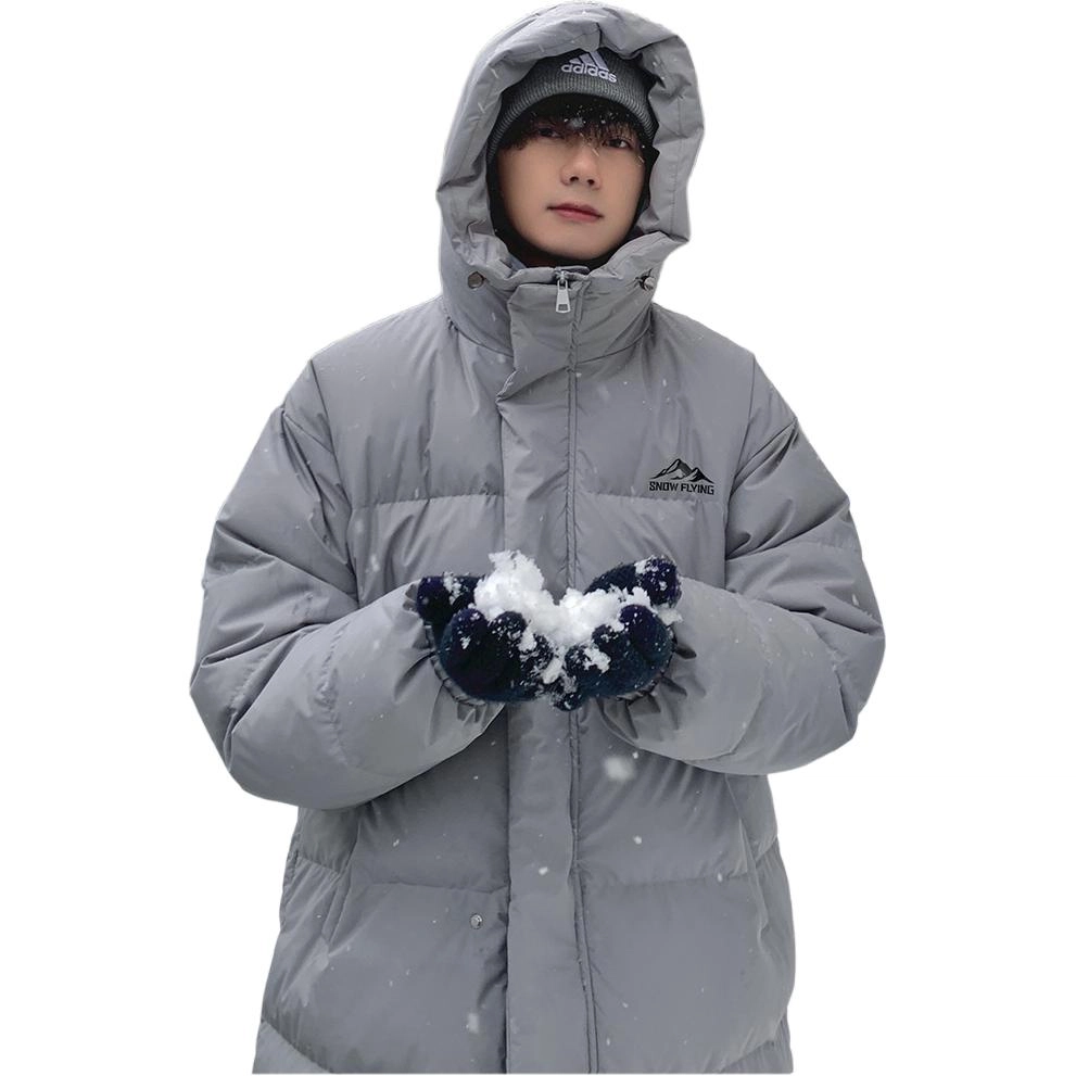SNOW FLYING 85logo
