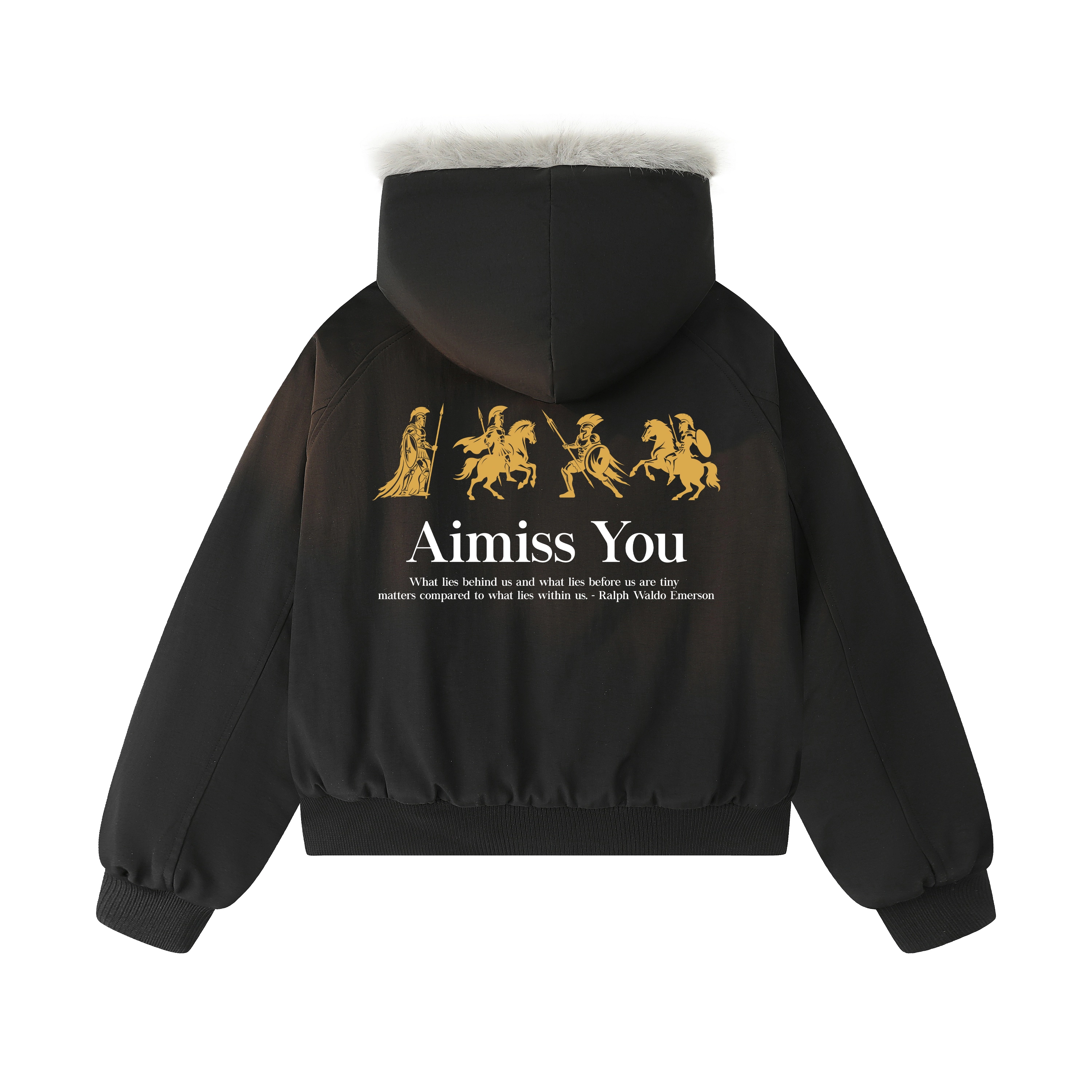 AIMISS Logo