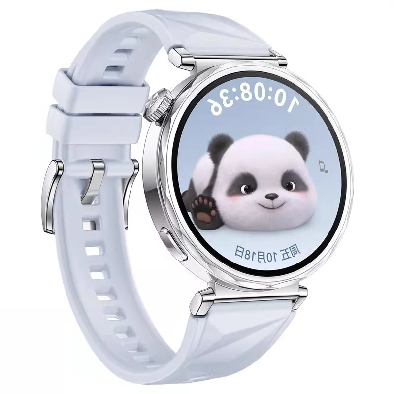 STEWPIGO Watch GT6GT5