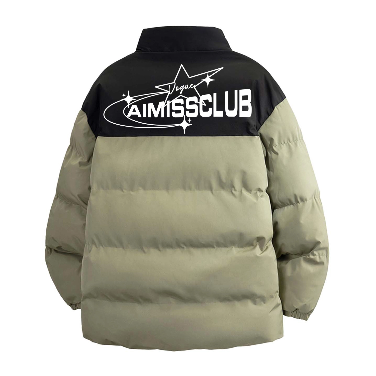 AIMISS Logo