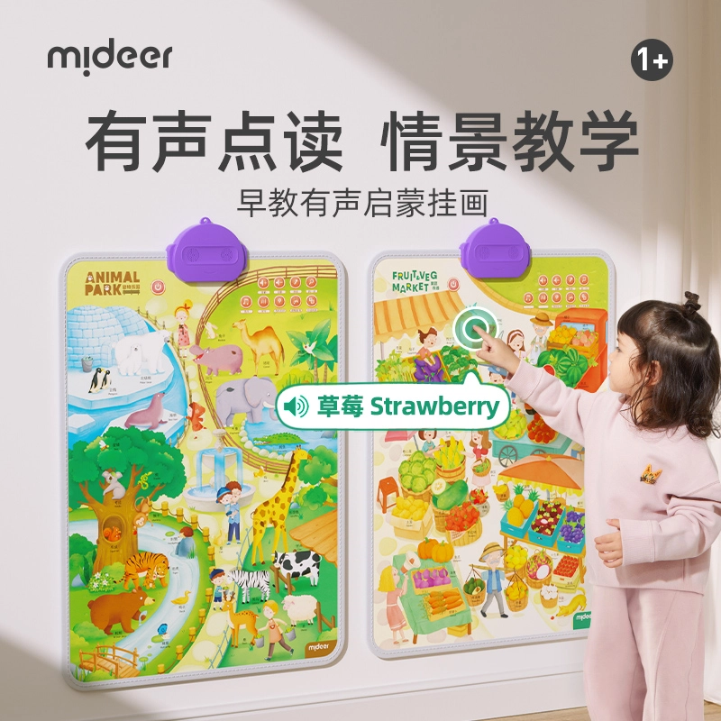 MIDEER