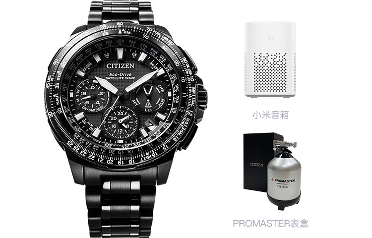 CITIZEN PROMASTER CC9025-51E