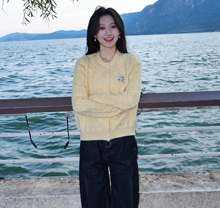 轻迎 美式复古圆领麻花开衫软糯外套针织衫 女款