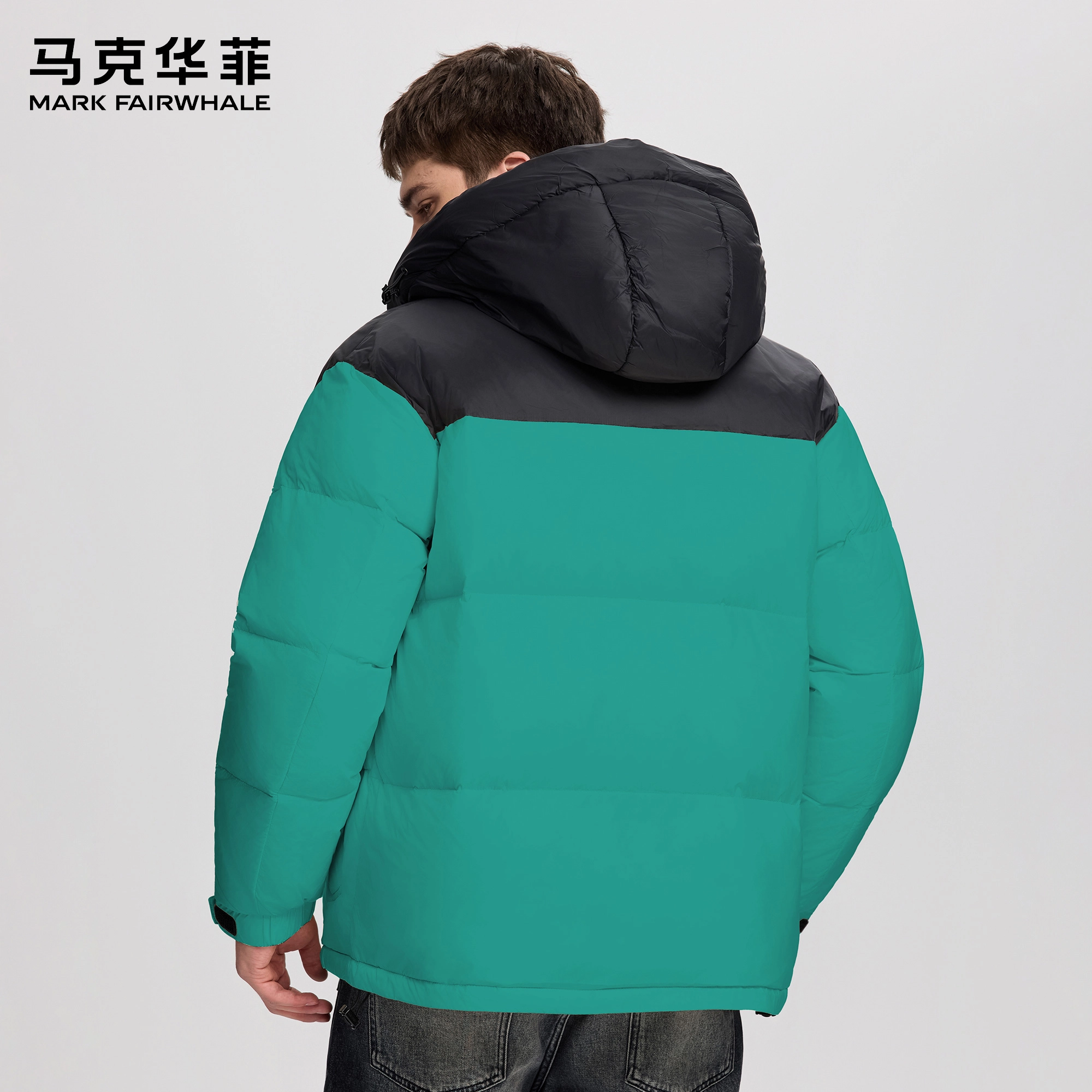 FAIRWHALE Logo90
