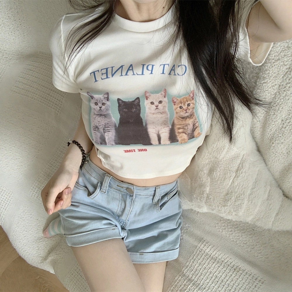 FLIM T