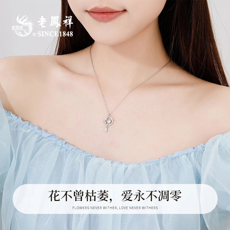 ins 990