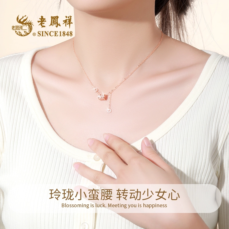 ins s990