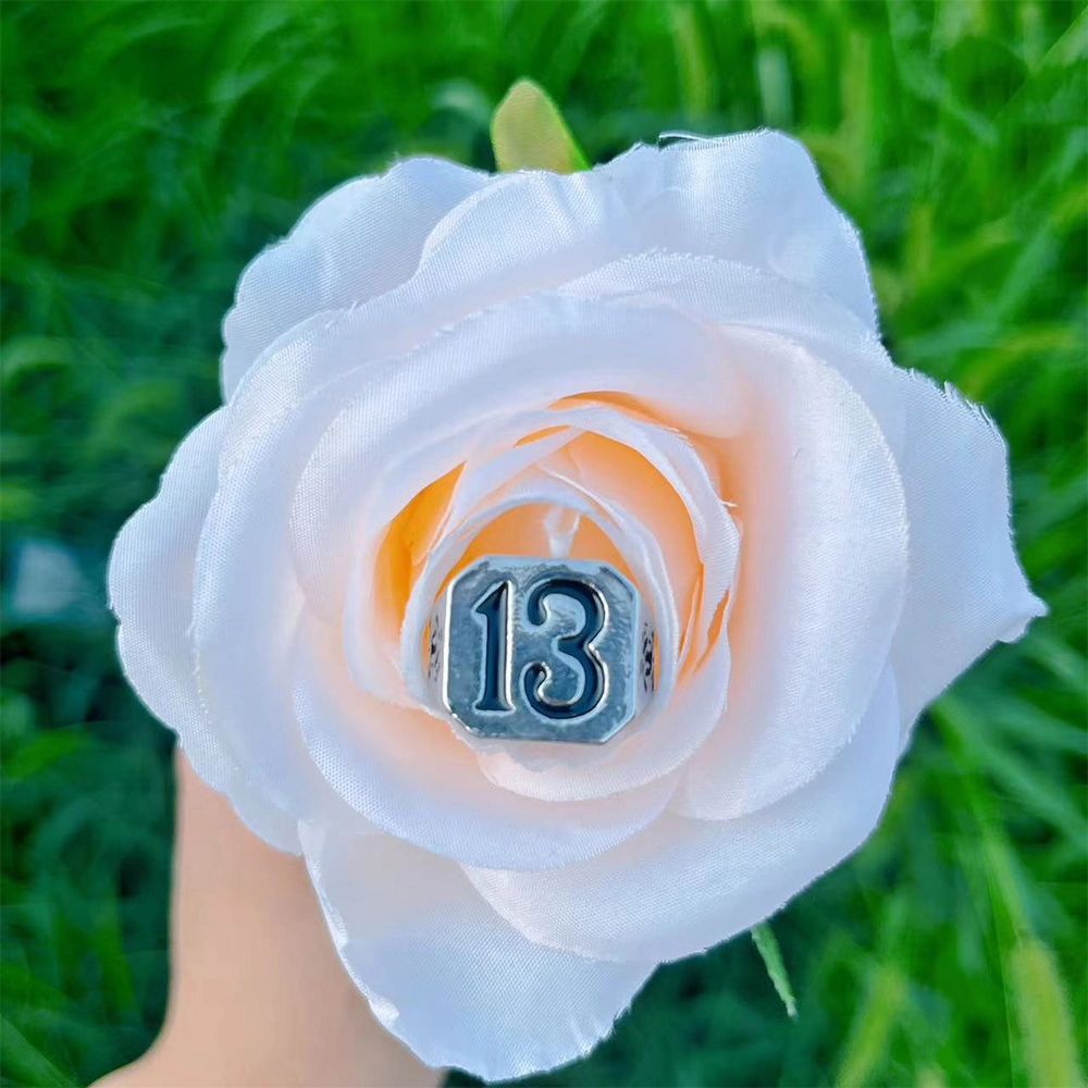 FLIM 13