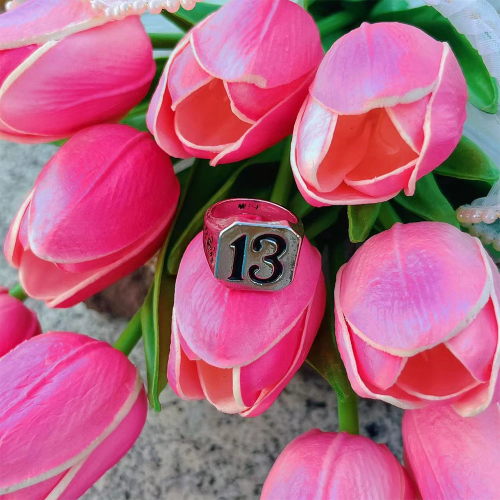 FLIM 13