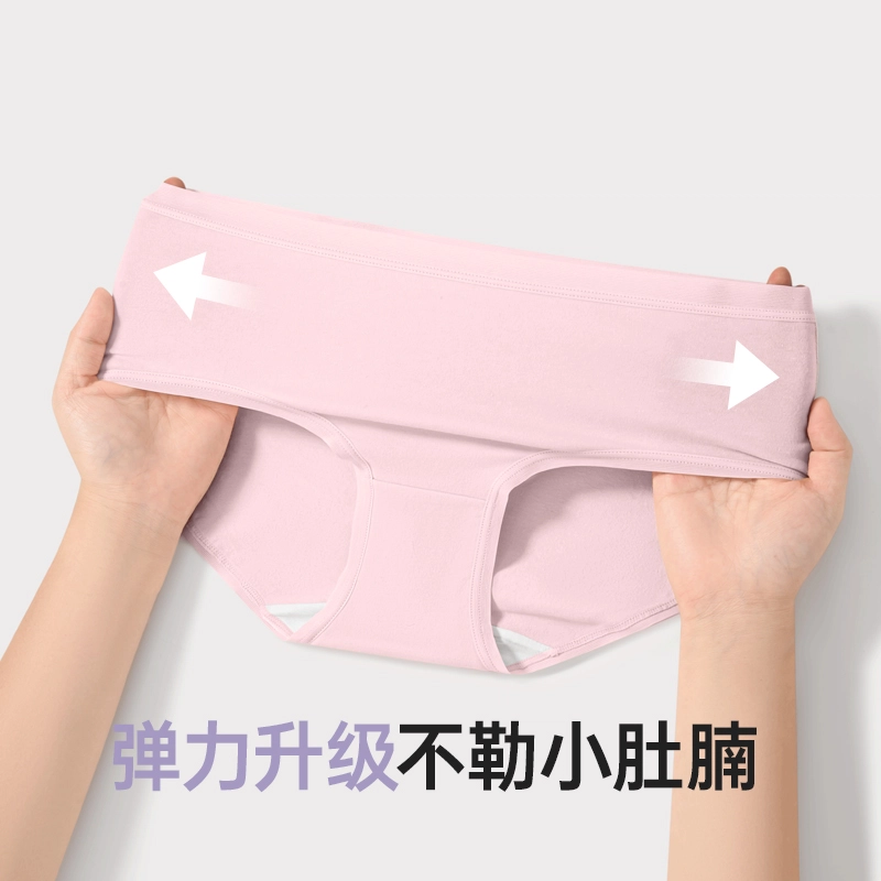 健将 纯棉大码中腰抗菌透气三角内裤 女款