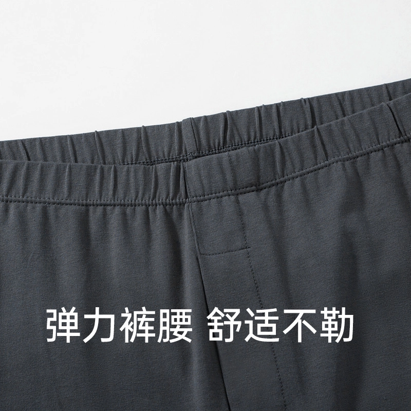 健将 纯棉薄款中老年纯色修身简约中腰保暖裤 男款