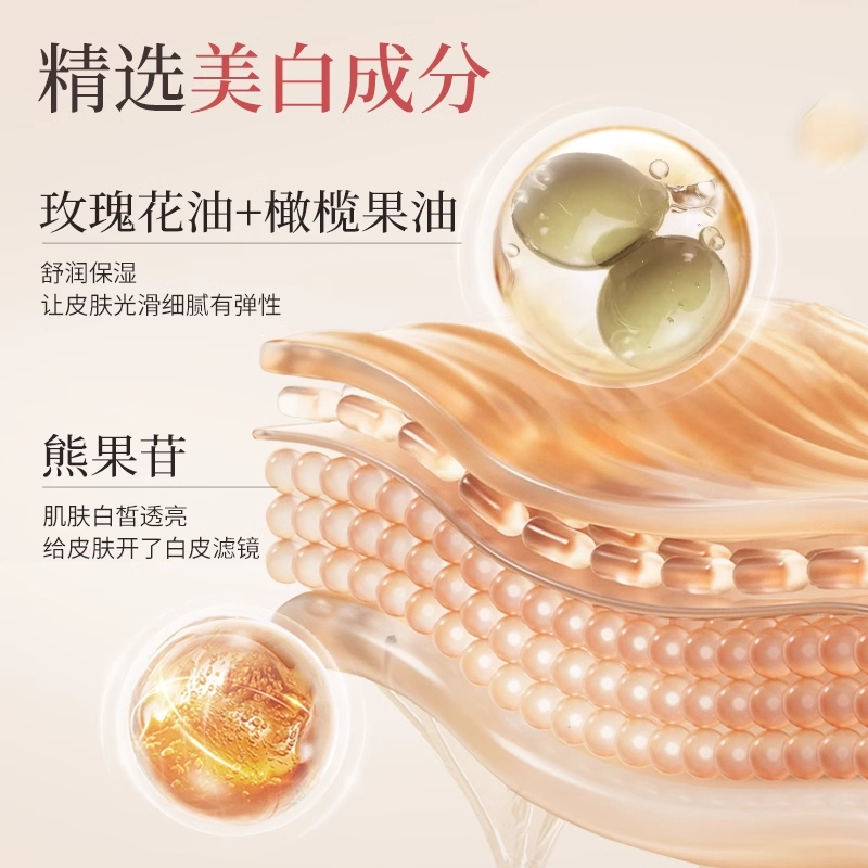 250g*1*2