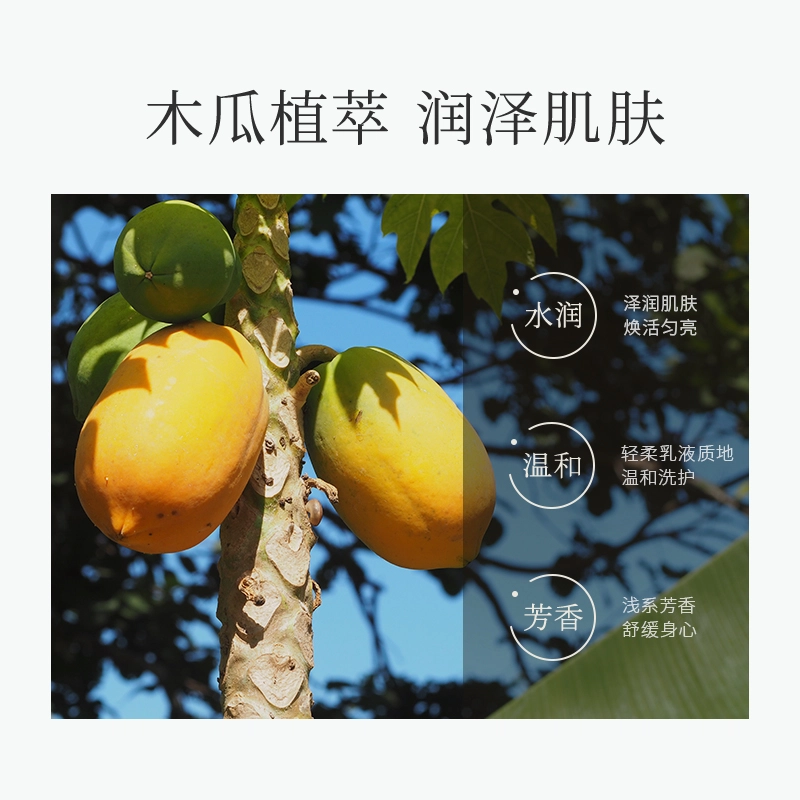 浅香去屑止痒柔顺控油多效洗发乳 持久留香改善毛躁清爽 护发素沐浴露