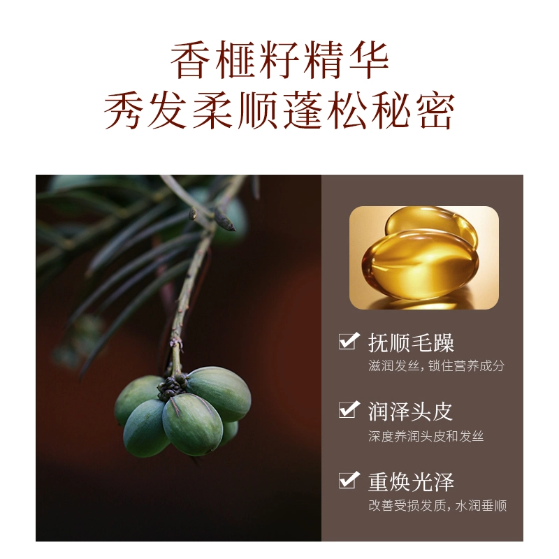 浅香 扁柏氨基酸洗发水护发素沐浴露套组 丰盈蓬松