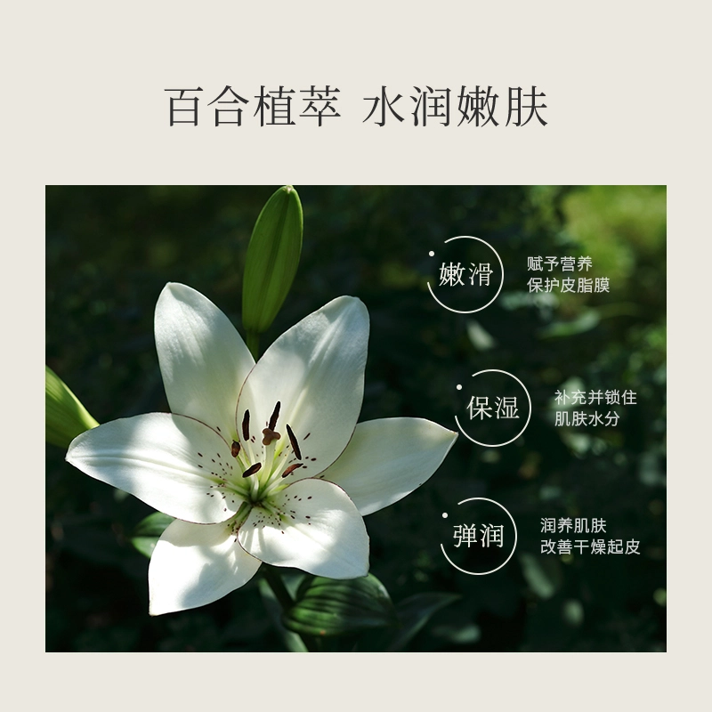 浅香 扁柏氨基酸洗发水护发素沐浴露套组 丰盈蓬松