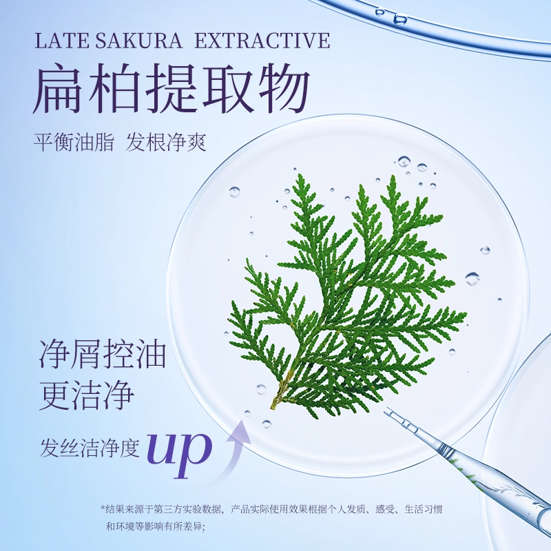 浅香去屑止痒柔顺控油多效洗发乳 持久留香改善毛躁清爽 护发素沐浴露