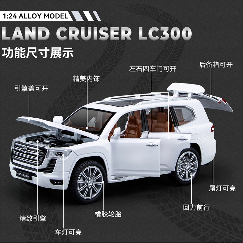 LC300 124