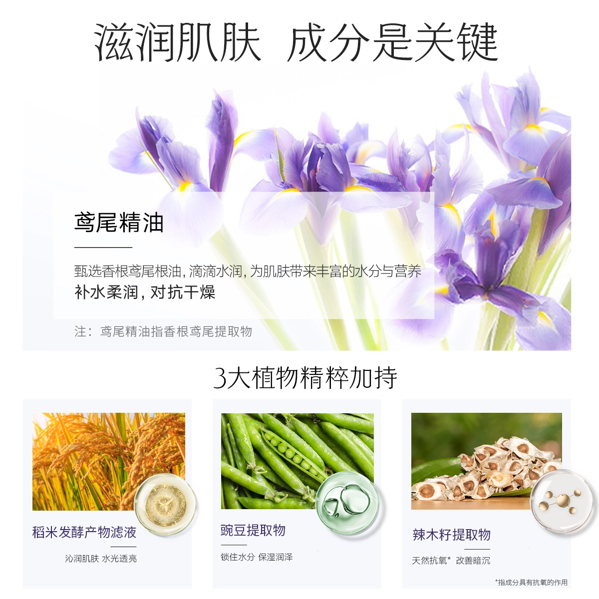 韩后 鸢尾菁油熬夜修护弹润护肤套装 滋润