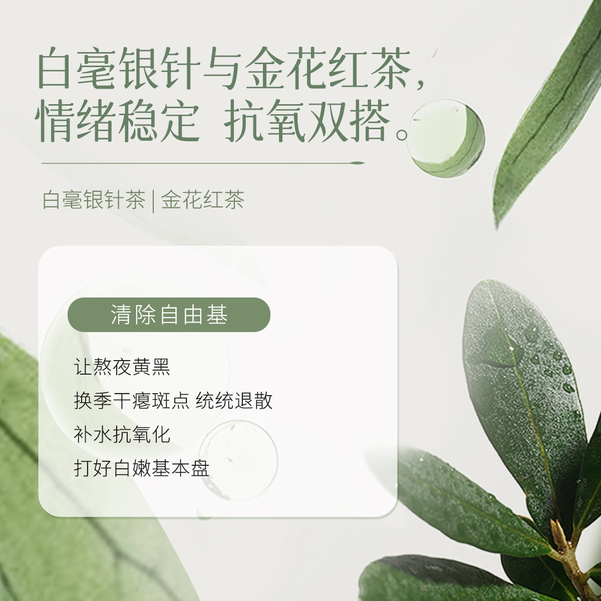 韩后 茶蕊基础抗皱美白套装 淡纹提亮美白