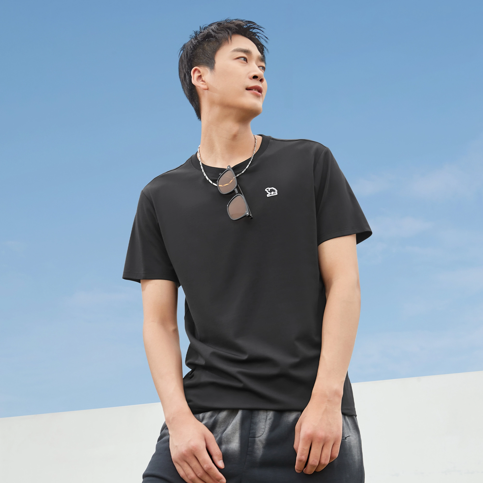 CAMEL T