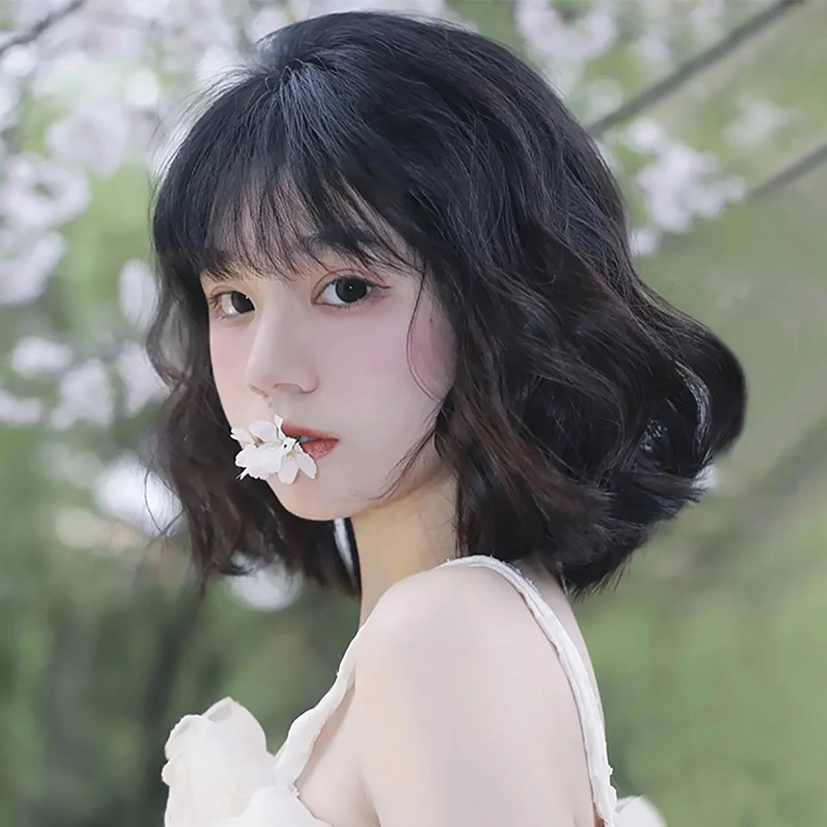 lolita