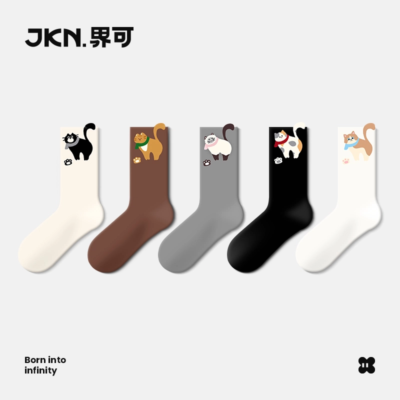 JKN 2025ins 5