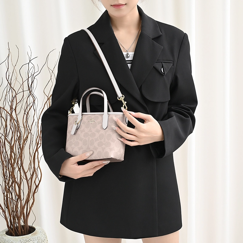 GUYI COACH city15 Tote mini