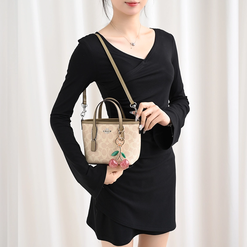 GUYI COACH city15 Totemini