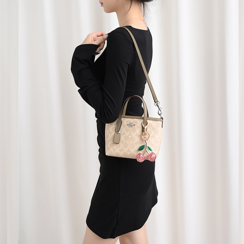 GUYI COACH city15 Totemini