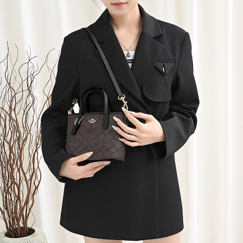 GUYI COACH city15 Tote mini