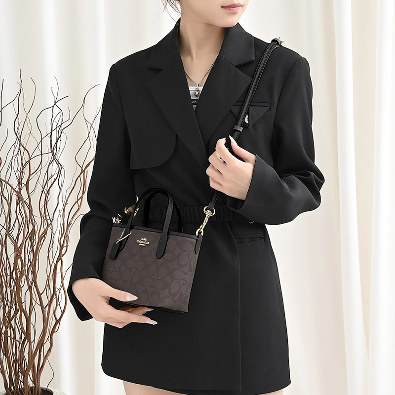 GUYI COACH city15 Tote mini