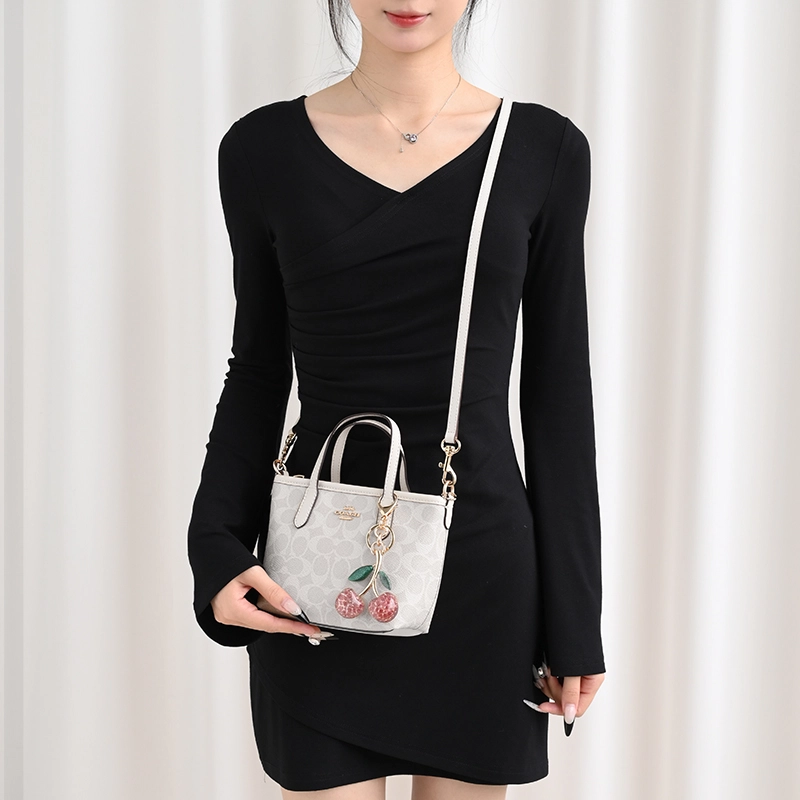 GUYI COACH city15 Totemini