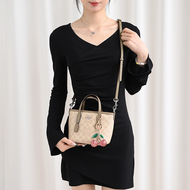 GUYI COACH city15 Totemini