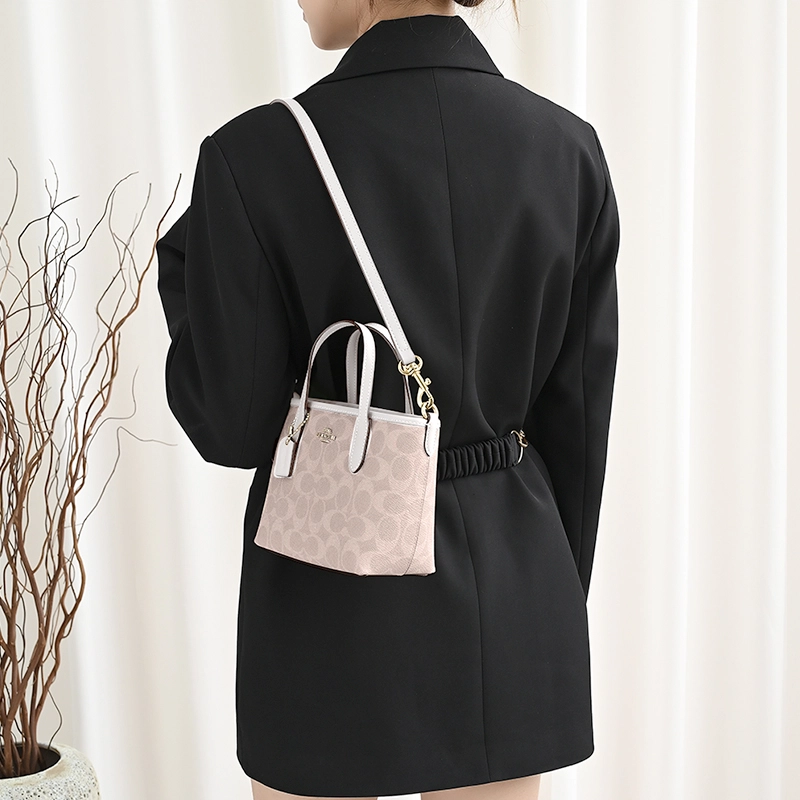 GUYI COACH city15 Tote mini